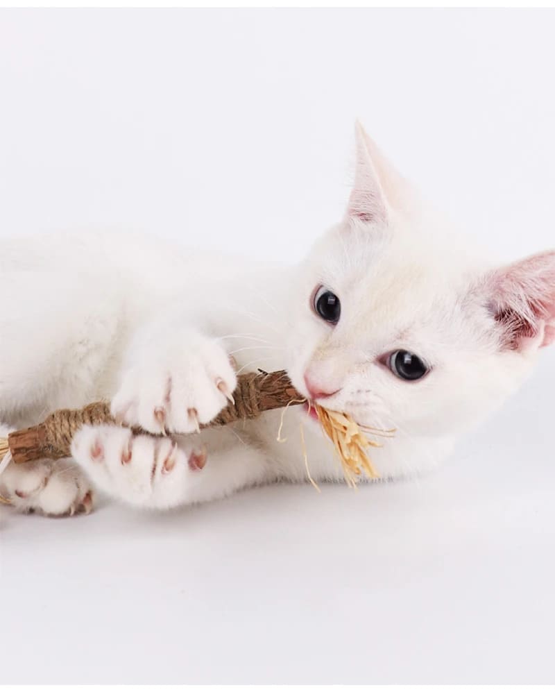 Cat Chew Stick: Silvervine and Hemp Rope — Teeth Cleaning Toy 4Leegs™