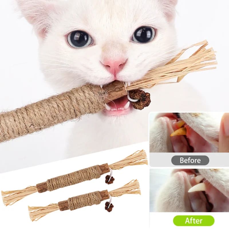 Cat Chew Stick: Silvervine og Hemp Rope — Teeth Cleaning Toy 4Leegs™